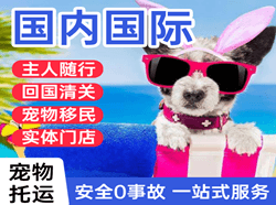伊春空运地址国际宠物托运 【国